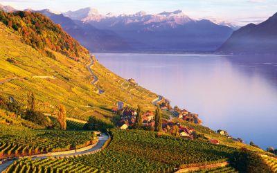 Esportare vino in Svizzera