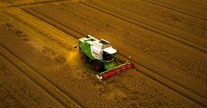 Ismea: preconsuntivo settore Agroalimentare