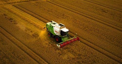 Ismea: preconsuntivo settore Agroalimentare
